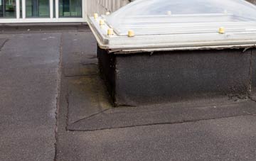 disadvantages of Althorpe flat roofs